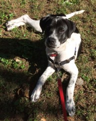 birdie_5_months_1014